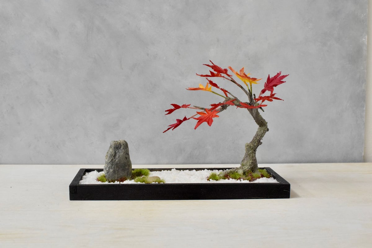 17 盆景 モミジ（受注可） | クラフト盆栽美術館 Artcraft Bonsai