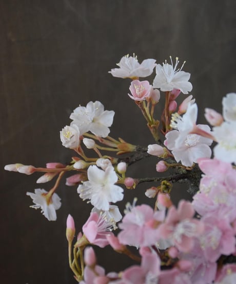 ＃35 桜（松高京美）