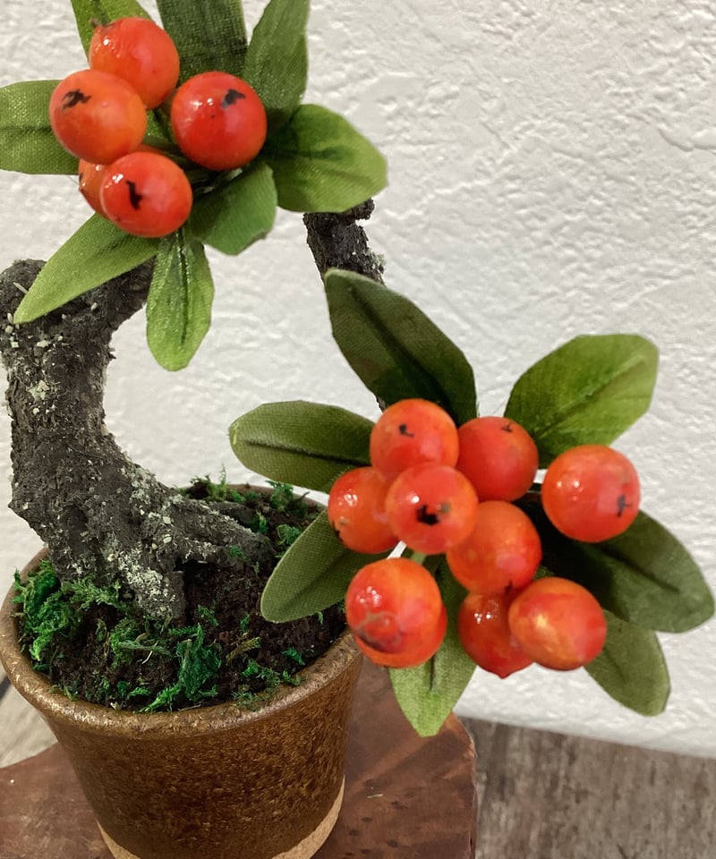 52 ピラカンサ 金茶色の鉢 | クラフト盆栽美術館 Artcraft Bonsai