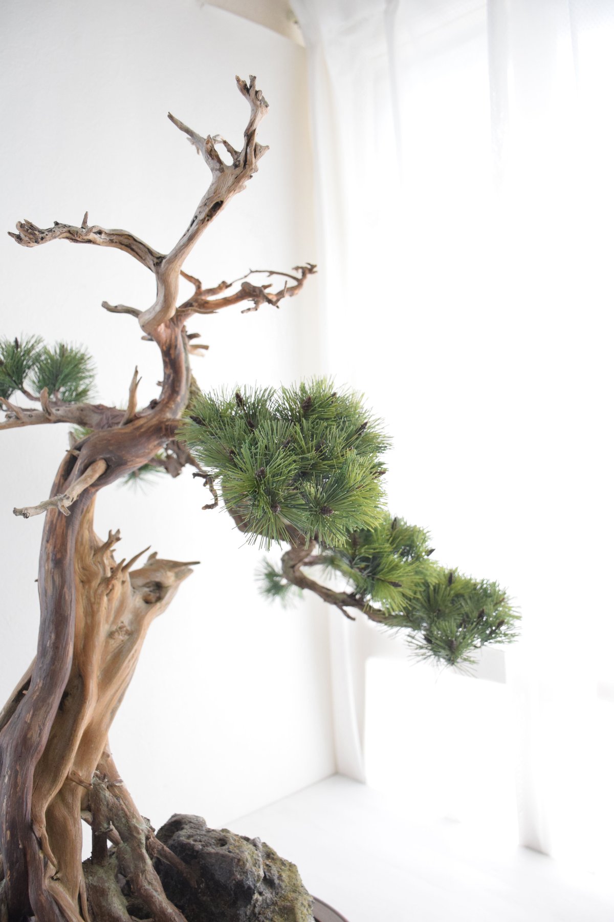 木雕工艺品、200年以上、稀少の松種類から 但馬木彫 松田京子 ①②お花がいっぱい W約 100mm × D約 65mm