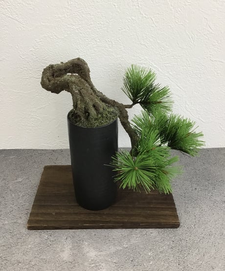 松　半懸崖（青木悦子）