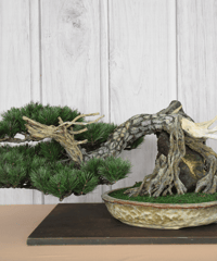 鎌倉彫 お盆 丸盆 朱 紅葉 もみじ 楓 かえで VINTAGE - 【昭和レトロ】鎌倉彫 お盆 丸盆 朱 紅葉 もみじ 楓