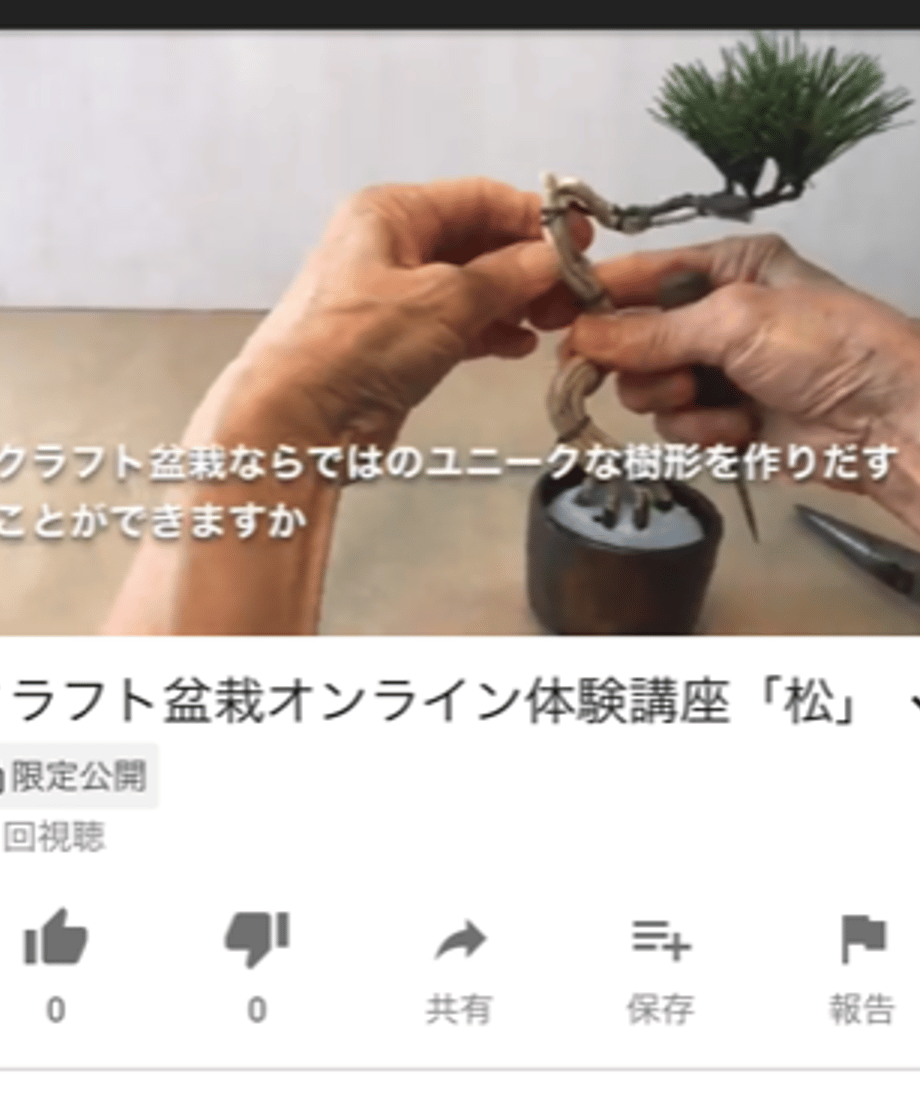 5fd9c467f0b10846e546be22