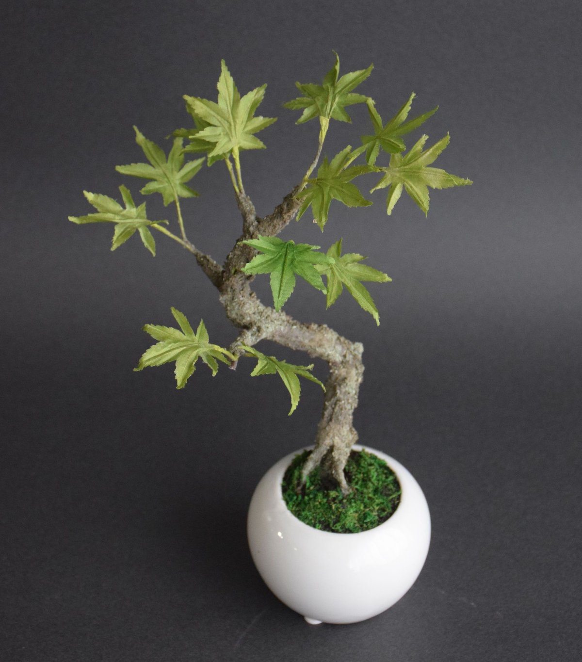 青モミジ | クラフト盆栽美術館 Artcraft Bonsai