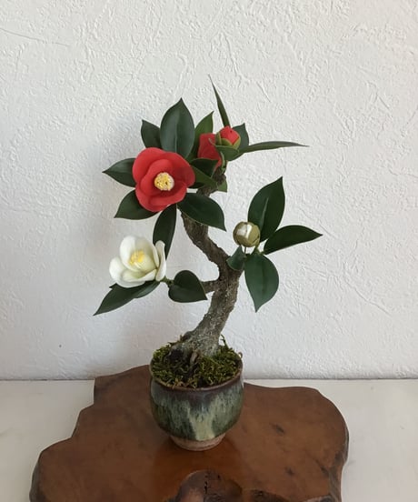 紅白ツバキ　（受注生産）（青木桃子）