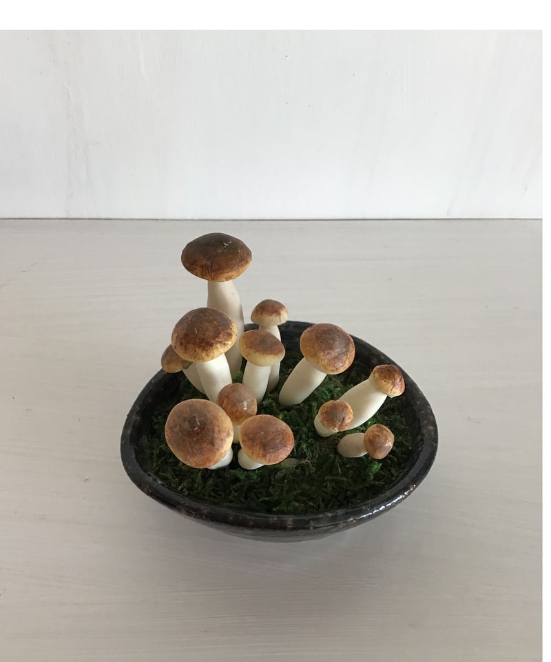 【しめじ】 京都府産『大黒本しめじ』『丹波しめじ』試食宣伝会 - 東京青果株式会社