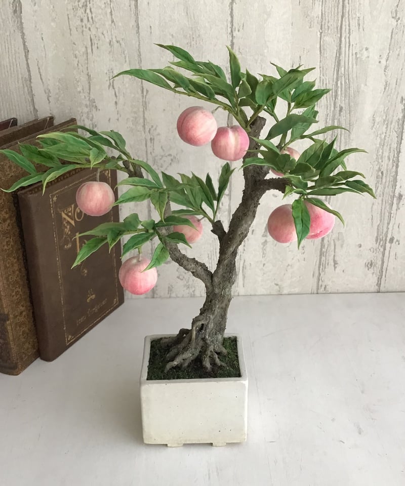桃さま　専用ページ　花梨盆栽 桃さま 専用ページ 花梨盆栽 盆栽