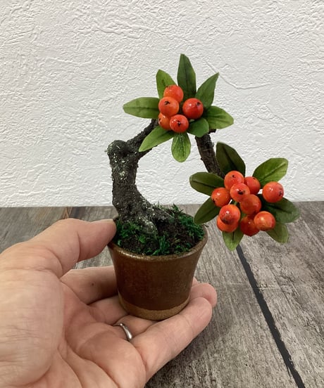 #52 ピラカンサ　金茶色の鉢（青木桃子）