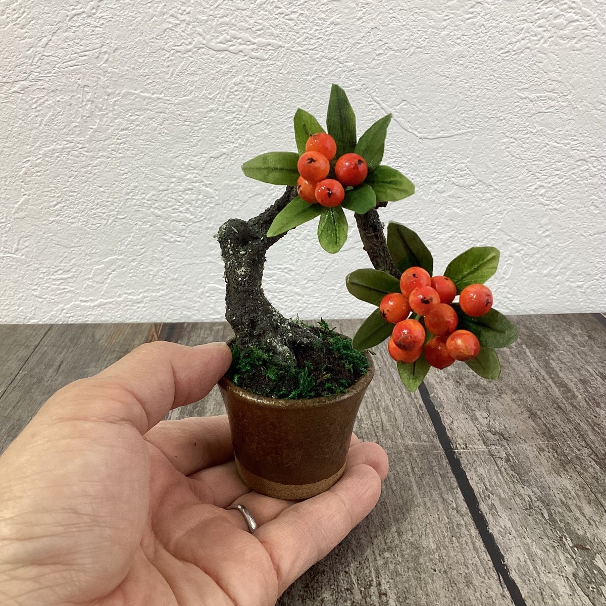 52 ピラカンサ 金茶色の鉢（青木桃子） | クラフト盆栽美術館 Artcraft