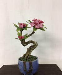 #3 沈丁花