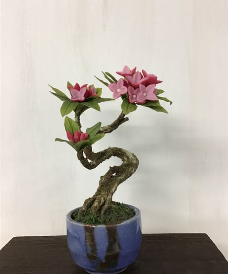 #3 沈丁花