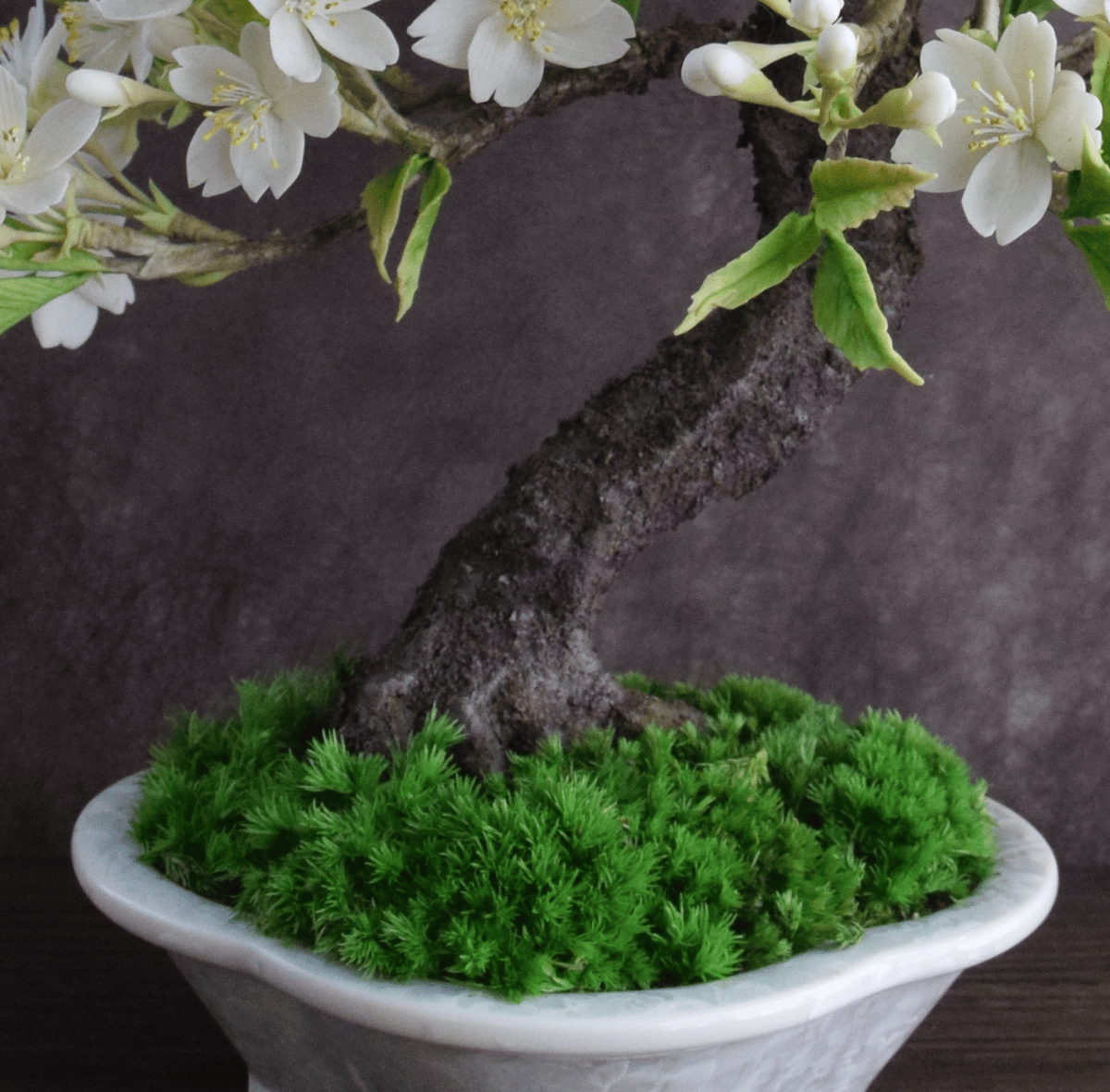 83 大島桜（青木桃子） | クラフト盆栽美術館 Artcraft Bonsai
