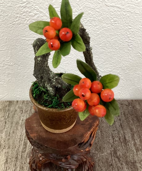 #52 ピラカンサ　金茶色の鉢（青木桃子）
