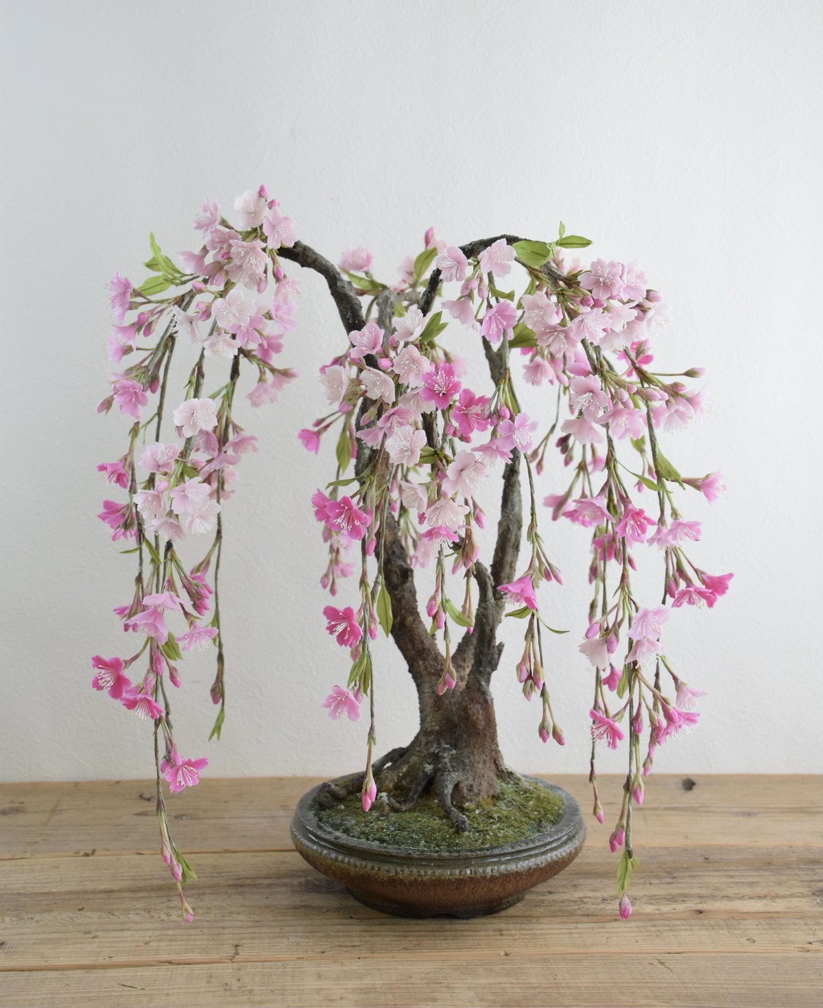 33 枝垂れ桜（青木悦子） | クラフト盆栽美術館 Artcraft Bonsai