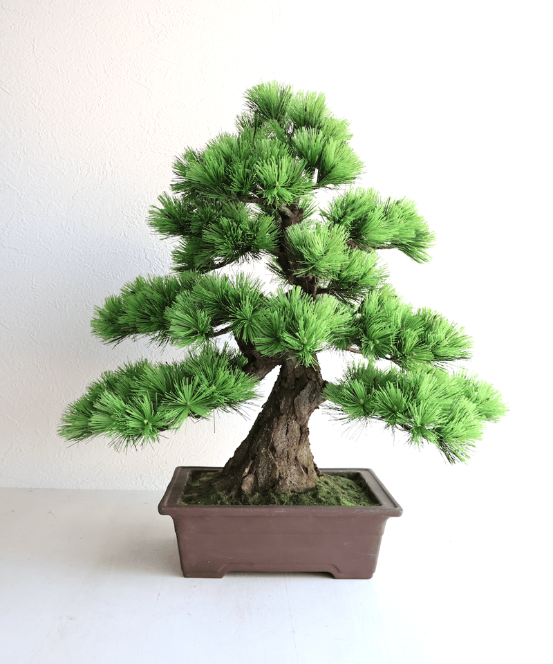104 松 模様木 樹皮付き（鉢変更） 40cm | クラフト盆栽美術館 Artcraft