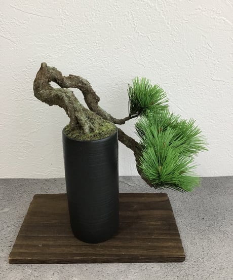松　半懸崖（青木悦子）
