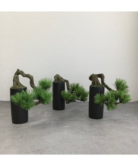 松　半懸崖（青木悦子）