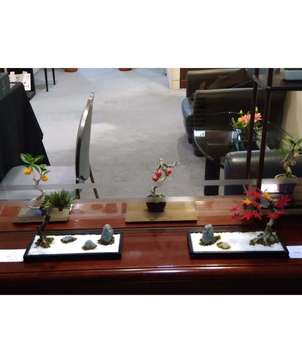 17 盆景 モミジ（受注可） | クラフト盆栽美術館 Artcraft Bonsai