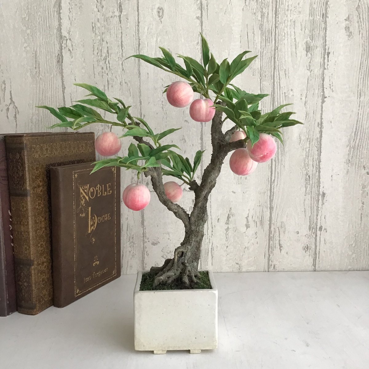 桃の木盆栽中国美術