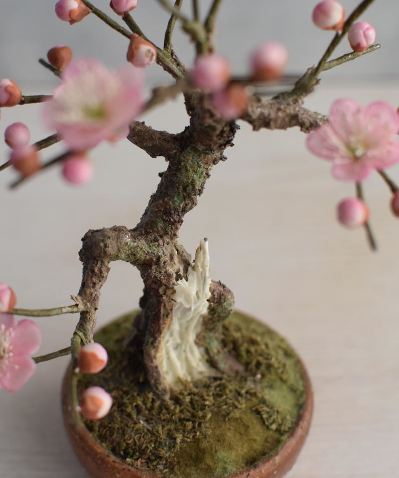 13 梅 淡いピンク | クラフト盆栽美術館 Artcraft Bonsai 13 梅 淡いピンク | クラフト盆栽美術館 Artcraft Bonsai
