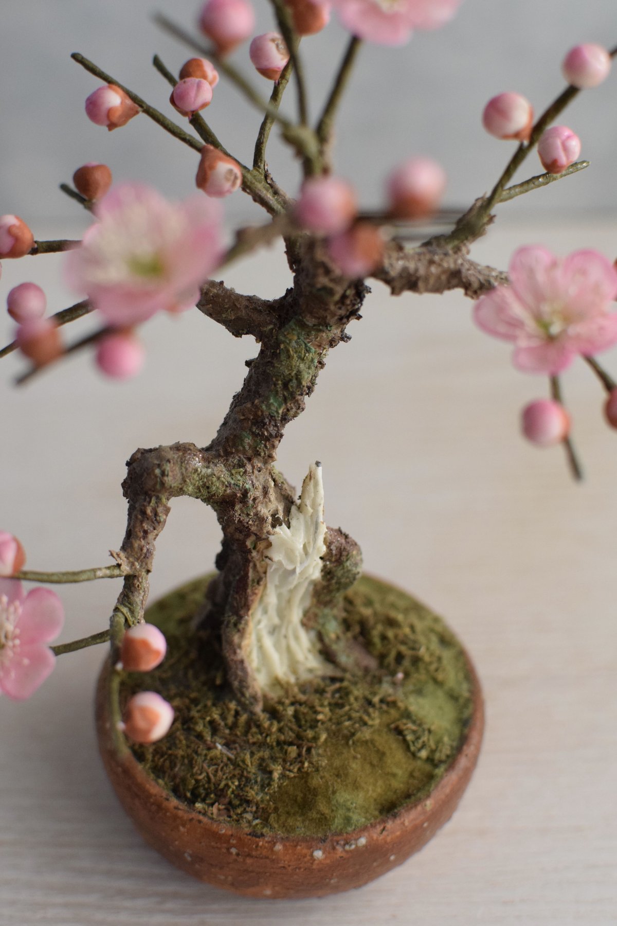 13 梅 淡いピンク | クラフト盆栽美術館 Artcraft Bonsai 13 梅 淡いピンク | クラフト盆栽美術館 Artcraft Bonsai