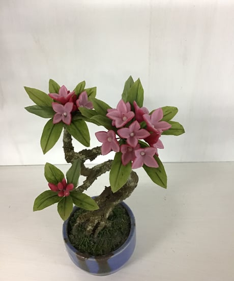 #3 沈丁花