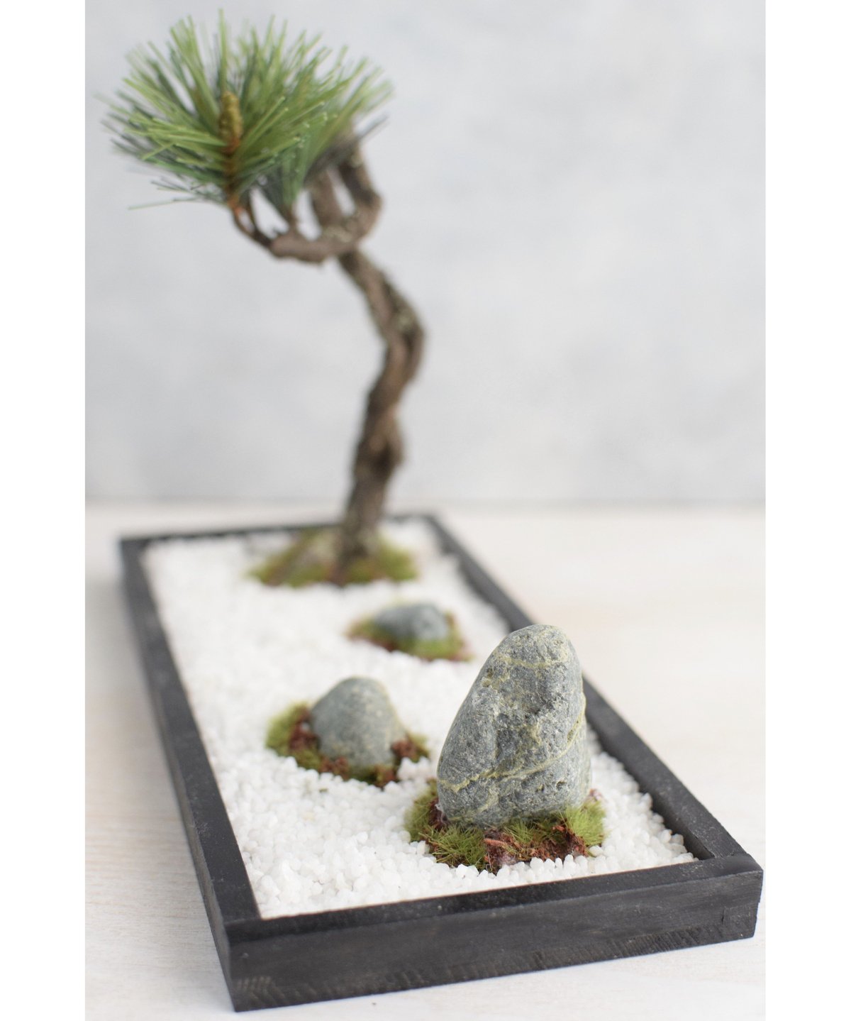18 盆景 松 | クラフト盆栽美術館 Artcraft Bonsai