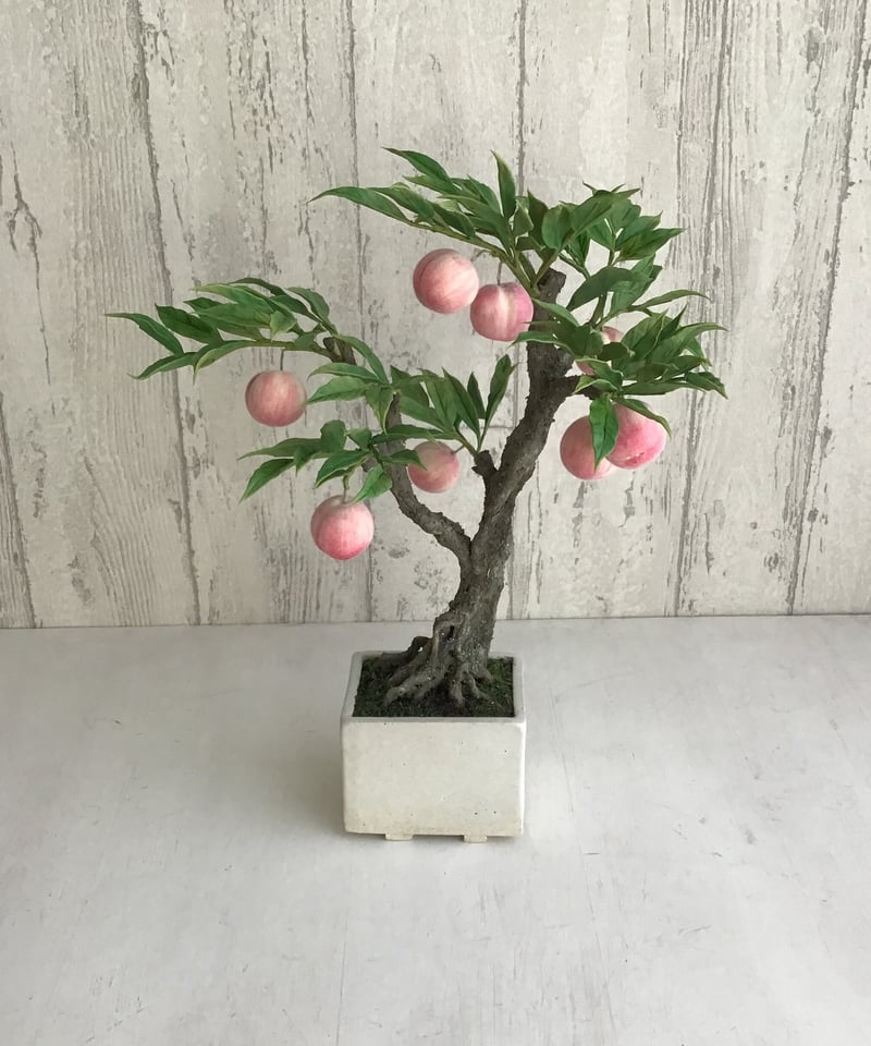 51 桃 | クラフト盆栽美術館 Artcraft Bonsai 51 桃 | クラフト盆栽美術館 Artcraft Bonsai