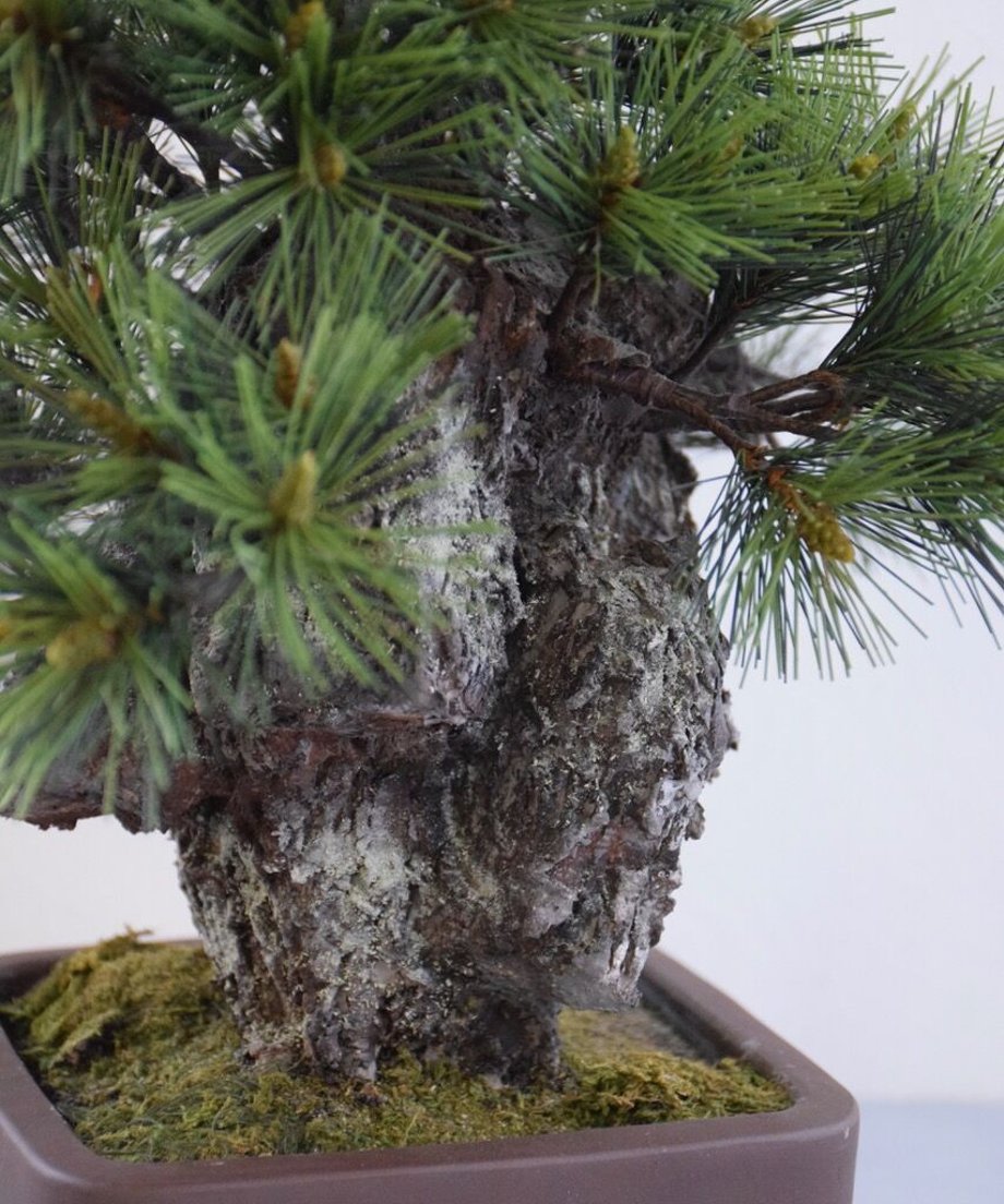 6000f8c0b00aa30d09454de4