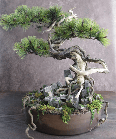 作品一覧ITEM | クラフト盆栽美術館 Artcraft Bonsai