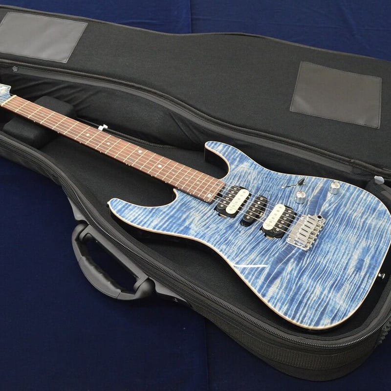 T's Guitars ギグバッグ DST用ギグバッグ | T's Guitars-shop