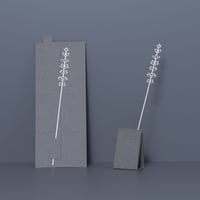 【5営業日以内発送】hanategami C