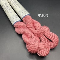 そらとぶこぎん第3号 工藤得子さんの系譜 | 津軽工房社