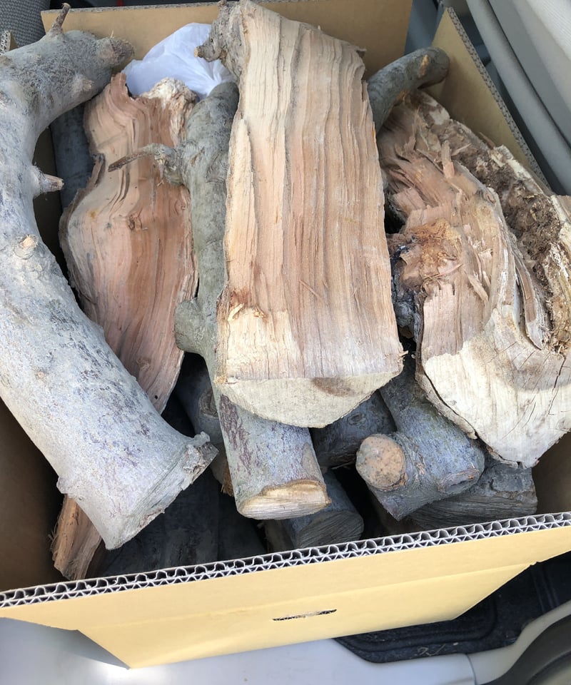 キャンプ 薪ストーブ 燃料 りんご 幹 枝 約30cm～40cm トンパック満