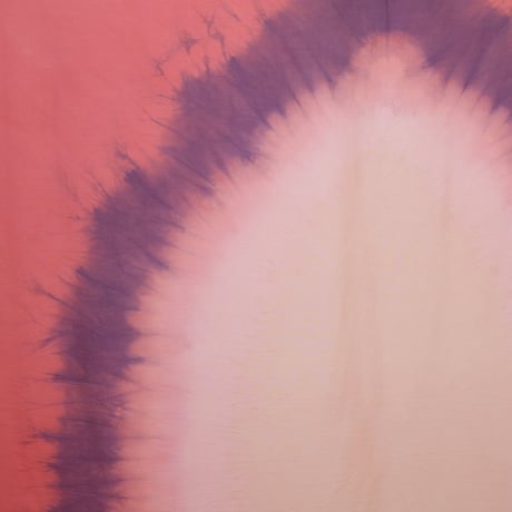 Portal #6