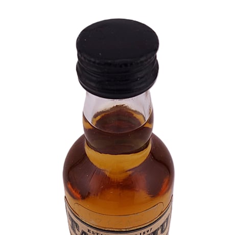 タムデュー 10年　TAMDHU 10years old FINE SINGLE MALT SCOTCH WHISKY