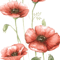 "Poppy" HipHop Beat / BPM86【WAV】