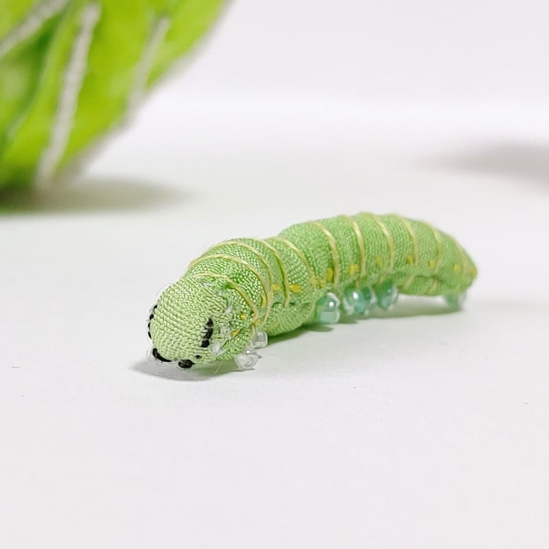 【中古】 キャベツの青虫 キャベツの青虫 【公式通販】