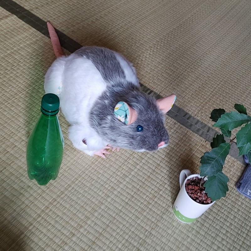 大きなラット ネズミのぬいぐるみ | 魚水屋