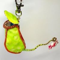 ウツボカズラのキャンディポーチ①