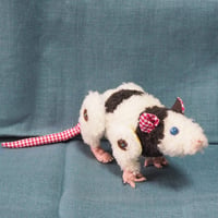 ねずみのぬいぐるみ パンダマウス