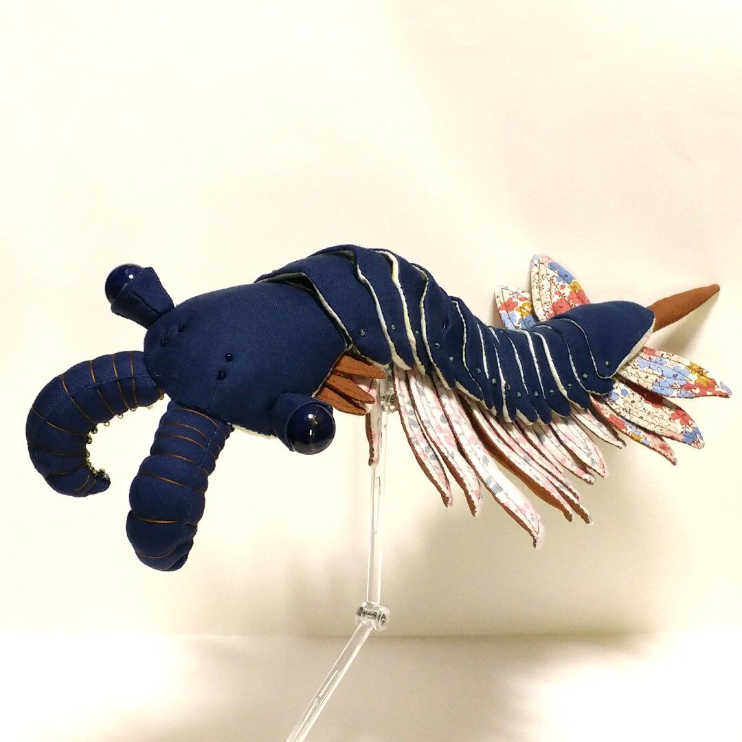♾️超稀少!! アノマロカリス＆ウミサソリのぬいぐるみ（2体）＆ちびっこ画伯作品 61KnayURhEL._AC_SY200_QL15_.jpg