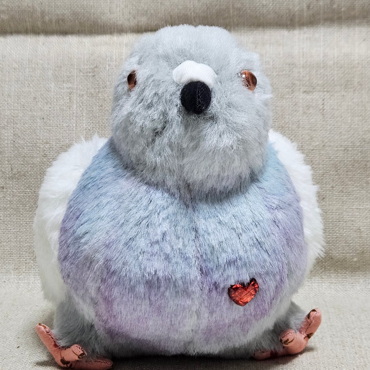 まんまるの鳩」ドバト カワラバト ぬいぐるみ | 魚水屋