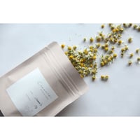 《シングル》カモミール Chamomile / 南阿蘇産