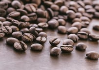 季節のコーヒー豆（バリ アラビカ ブルームーン）100g（芳醇な花の香りと味わい深いコク】