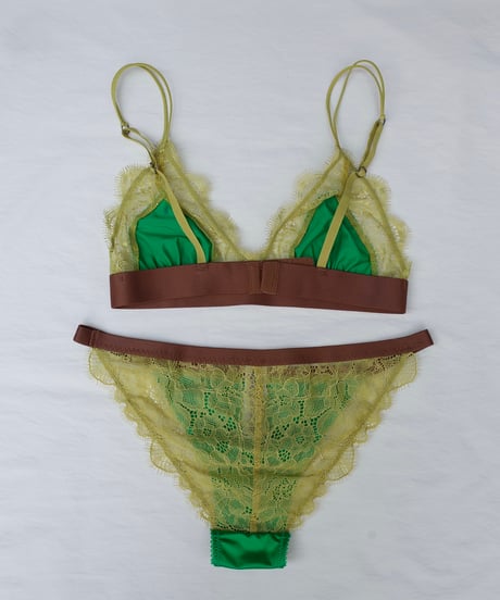 Love Stories Wild Rose Comfortable Lace Briefs in Bright Green