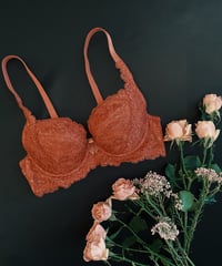 Classic PecoBra in Vintage Rose