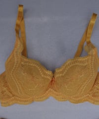 Peco Bra in Jaune de Provence