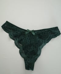 Peco Bra Thong New in Vert Sapin