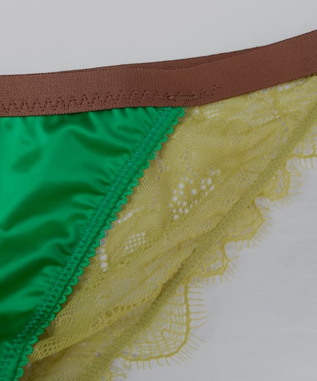 Love Stories Wild Rose Comfortable Lace Briefs in Bright Green